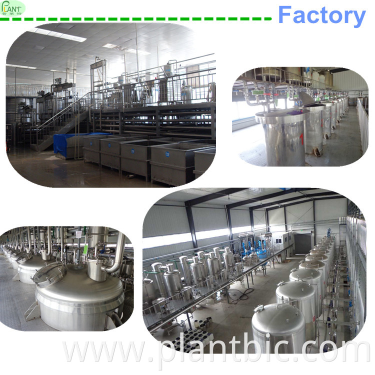 100% pure natural plant extract mulbery extract